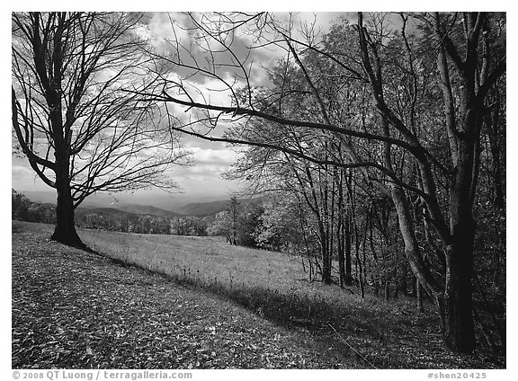 Meadow Overlook in fall. Shenandoah National Park, Virginia, USA.