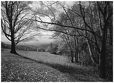 Meadow Overlook in fall. Shenandoah National Park, Virginia, USA. (black and white)