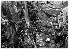 Stream cascading over dark rock in autumn. Shenandoah National Park, Virginia, USA. (black and white)