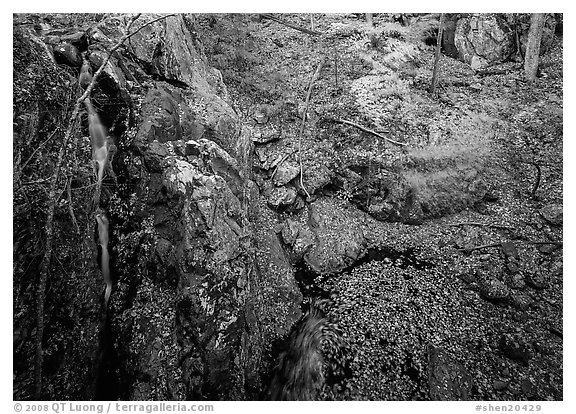 Waterfall and cliff from above. Shenandoah National Park, Virginia, USA.