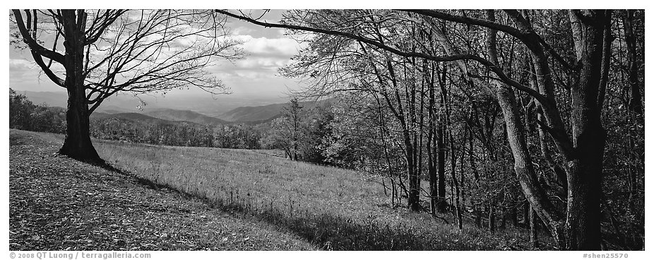 Clearing with trees in autumn colors and distant ridges. Shenandoah National Park (black and white)