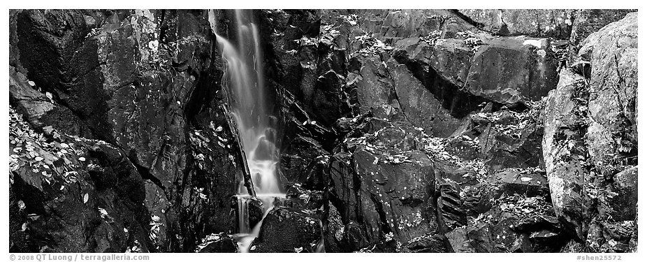 Cascade over dark rocks sprinkled with fallen autumn leaves. Shenandoah National Park (black and white)