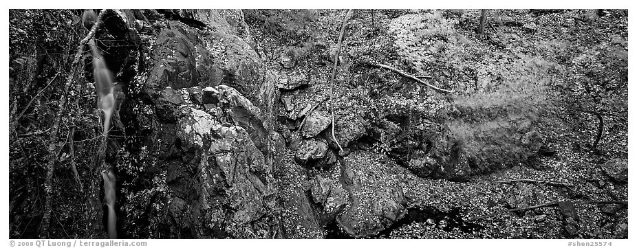 Rocky outcrop in fall forest with cascading water. Shenandoah National Park (black and white)