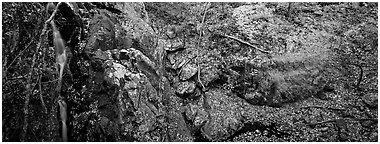 Rocky outcrop in fall forest with cascading water. Shenandoah National Park (Panoramic black and white)