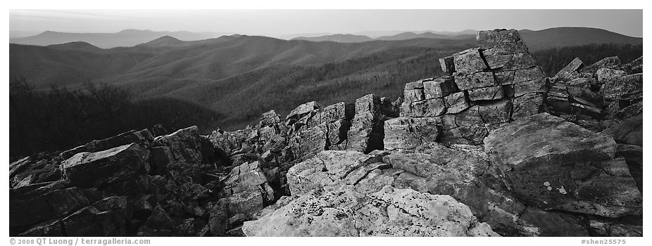 Eastern mountain landscape at dusk. Shenandoah National Park (black and white)