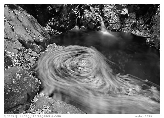 Fallen leaves spinning in  pool. Shenandoah National Park (black and white)