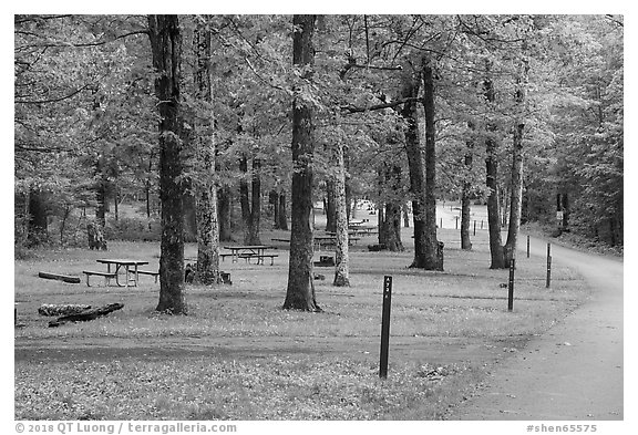 Matthews Arm Campground. Shenandoah National Park (black and white)
