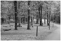 Matthews Arm Campground. Shenandoah National Park ( black and white)