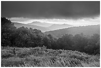 Visitor looking, Thornton Hollow Overlook. Shenandoah National Park ( black and white)