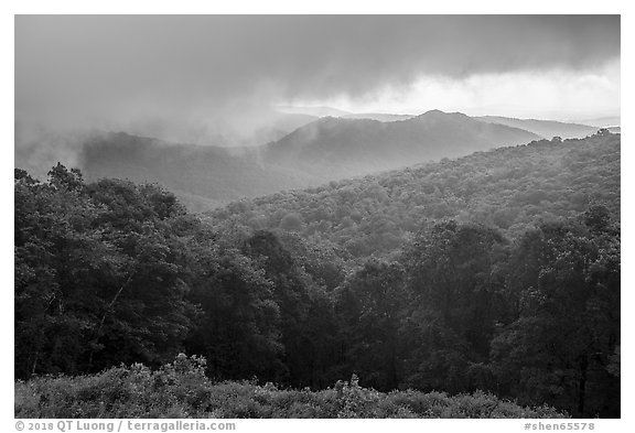 Forested ridges and approaching storm, Thornton Hollow Overlook. Shenandoah National Park (black and white)