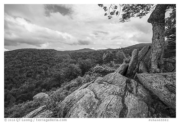 Rocky outcrop, Hazel Mountain Overlook. Shenandoah National Park (black and white)