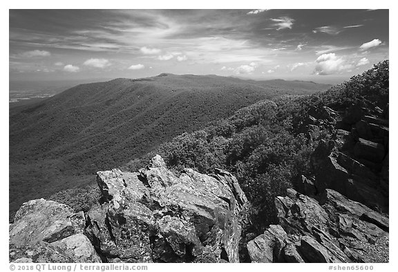 View from Hawksbill Mountain. Shenandoah National Park (black and white)