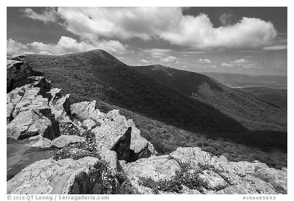 Crescent Rock and Hawksbill Mountain. Shenandoah National Park (black and white)