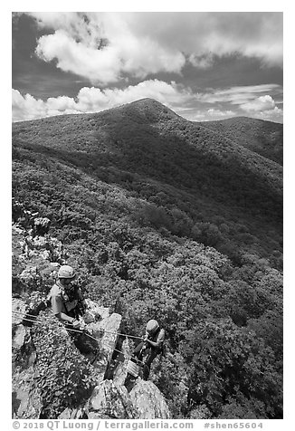Rangers rappelling on Crescent Rock cliff. Shenandoah National Park (black and white)
