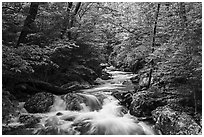 Robinson River in the spring. Shenandoah National Park ( black and white)