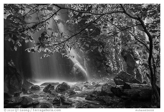 Ephemeral waterfall in Whiteoak Canyon. Shenandoah National Park (black and white)