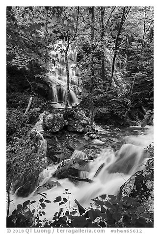 Waterfalls and stream, Whiteoak Canyon. Shenandoah National Park (black and white)