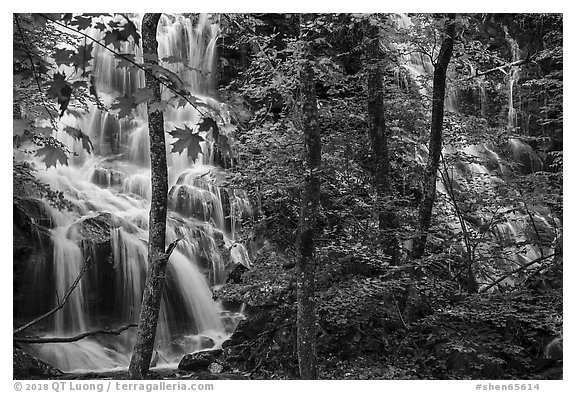 Middle Whiteoak falls. Shenandoah National Park (black and white)