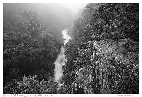 Upper Whiteoak falls, Whiteoak Canyon. Shenandoah National Park (black and white)