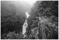 Upper Whiteoak falls, Whiteoak Canyon. Shenandoah National Park ( black and white)