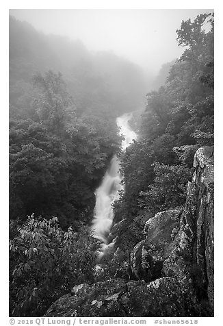 Upper Whiteoak falls in fog. Shenandoah National Park (black and white)