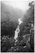 Upper Whiteoak falls in fog. Shenandoah National Park ( black and white)