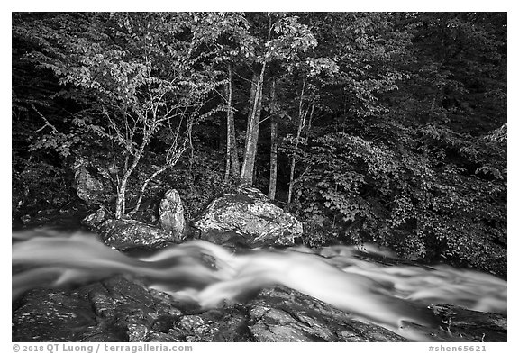 Cascades of the Robinson River at dusk. Shenandoah National Park (black and white)