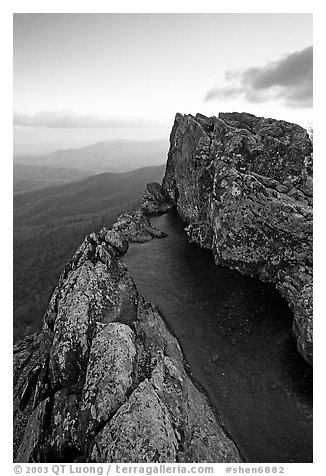 Rainwater pool, Little Stony Man, sunrise. Shenandoah National Park (black and white)