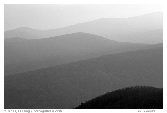 Hazy ridges, sunrise. Shenandoah National Park (black and white)