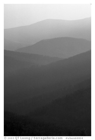 Receding ridges seen from Little Stony Man, sunrise. Shenandoah National Park (black and white)