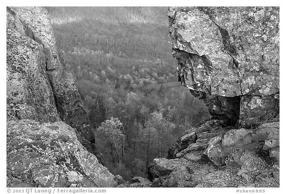 Forested slopes seen through a rock window, Little Stony Man. Shenandoah National Park (black and white)