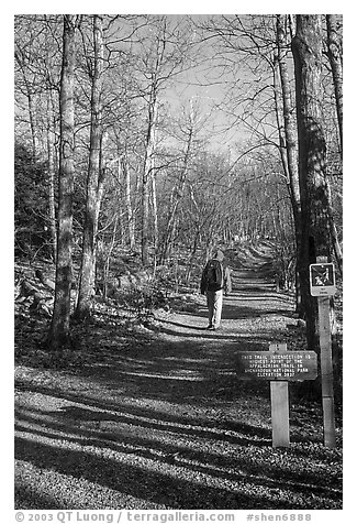 Backpacker on the Appalachian Trail. Shenandoah National Park, Virginia, USA.