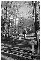 Backpacker on the Appalachian Trail. Shenandoah National Park, Virginia, USA. (black and white)