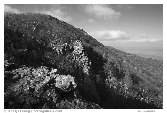Rocky outcrop, Little Stony Man, early morning. Shenandoah National Park (black and white)