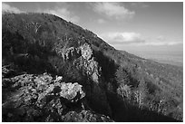 Rocky outcrop, Little Stony Man, early morning. Shenandoah National Park ( black and white)
