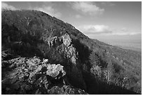 Rocky outcrop, Little Stony Man, early morning. Shenandoah National Park, Virginia, USA. (black and white)