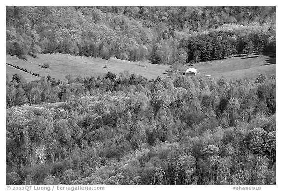 Barn in a meadow. Shenandoah National Park, Virginia, USA.