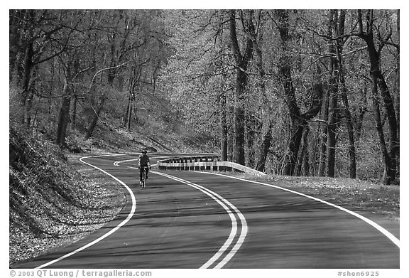 Bicyclist on Skyline drive. Shenandoah National Park (black and white)