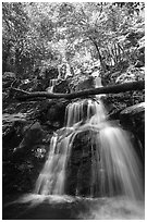 Dark Hollow Falls. Shenandoah National Park ( black and white)