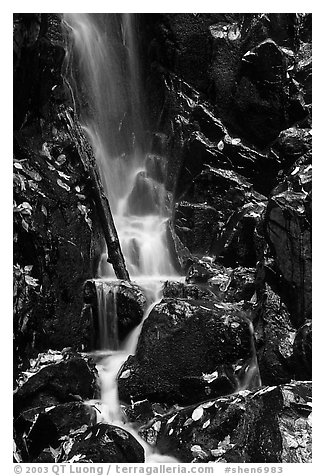 Cascade with fallen leaves. Shenandoah National Park, Virginia, USA.