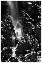 Cascade with fallen leaves. Shenandoah National Park, Virginia, USA. (black and white)