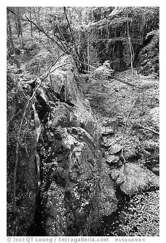 Waterfall of the Rose River and fall colors. Shenandoah National Park (black and white)