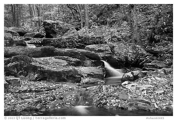 Hogcamp Branch of the Rose River. Shenandoah National Park, Virginia, USA.