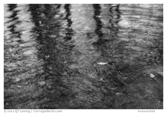 Reflections with fall colors. Shenandoah National Park (black and white)