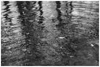 Reflections with fall colors. Shenandoah National Park ( black and white)