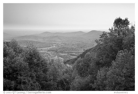 Looking west towards farmlands at sunset. Shenandoah National Park (black and white)