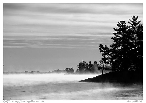 Fog lifting up in early morning and trees on shore of Kabetogama lake. Voyageurs National Park, Minnesota, USA.