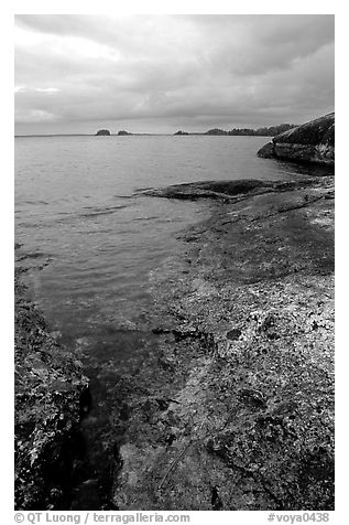 Coastline, Rainy lake. Voyageurs National Park (black and white)