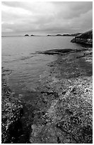 Coastline, Rainy lake. Voyageurs National Park ( black and white)