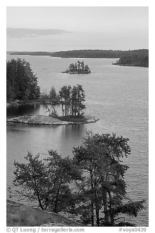 Islets and conifers, Anderson bay. Voyageurs National Park (black and white)